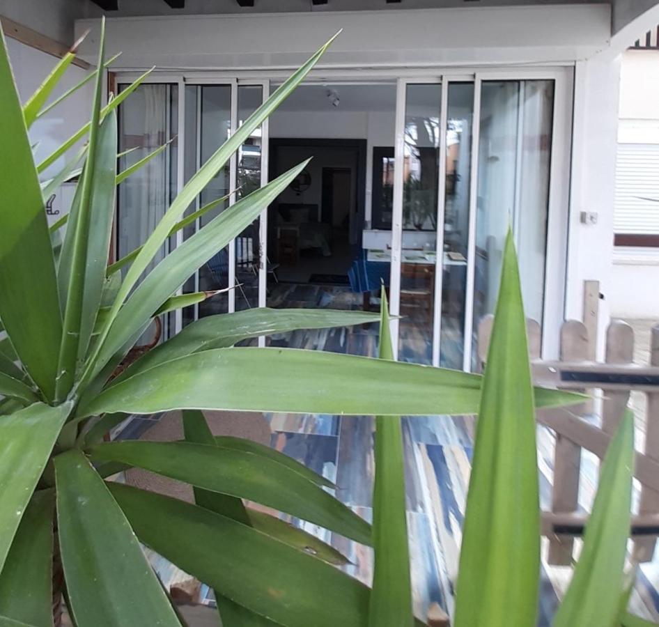 T2-3 Cabine Les Yuccas 200 M Plage Du Boucanet Rive Droite Grau Du Roi Ideal 2-4 Pers Le Grau-du-Roi Εξωτερικό φωτογραφία