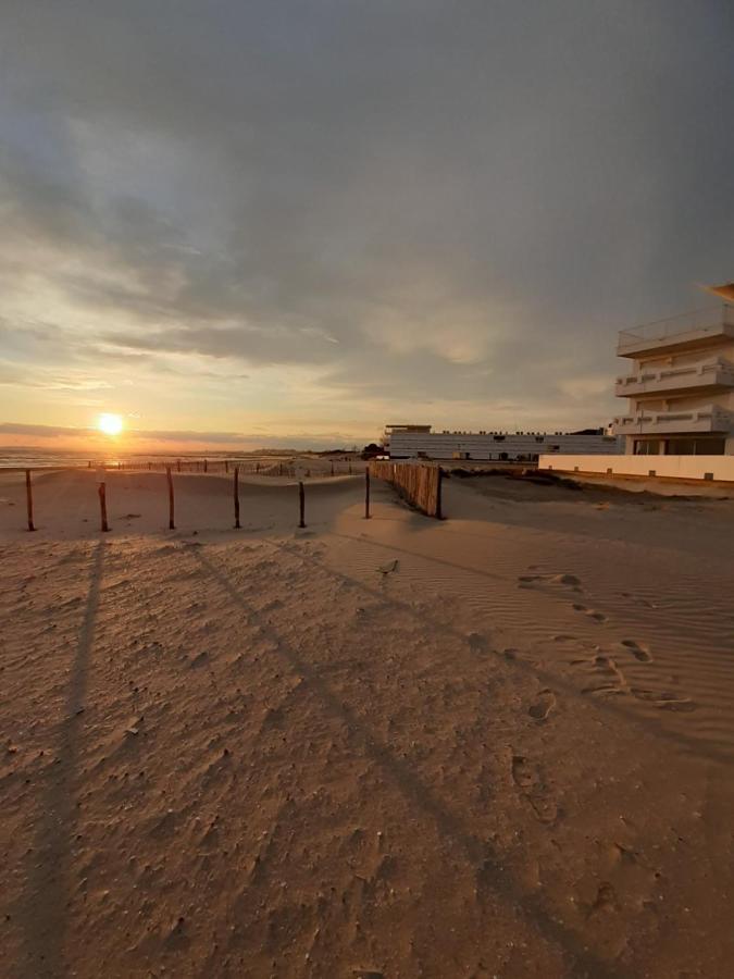 T2-3 Cabine Les Yuccas 200 M Plage Du Boucanet Rive Droite Grau Du Roi Ideal 2-4 Pers Le Grau-du-Roi Εξωτερικό φωτογραφία
